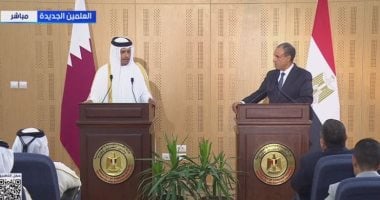 رئيس الوزراء القطرى: نواصل جهودنا مع مصر لوقف إطلاق النار فى غزة رئيس الوزراء ووزير الخارجية القطري