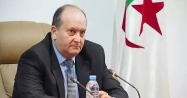 خلفا لـ"العرباوى".. من هو سيفى غريب رئيس وزراء الجزائر الجديد؟ سيفى غريب