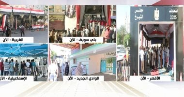 الوطنية للانتخابات: استمرار التصويت باليوم الأخير من إعادة انتخابات الشيوخ