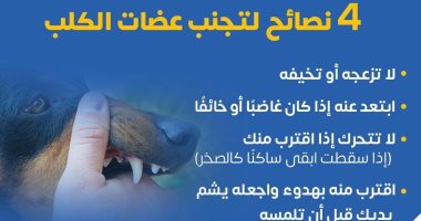 وزارة الصحة توضح 4 نصائح لتجنب عضات الكلب.. تقاصيل