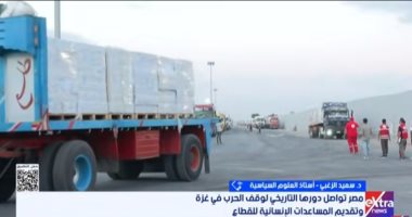 أستاذ علوم سياسية: مصر كسرت حاجز الصمت الدولى بإدخال المساعدات لغزة