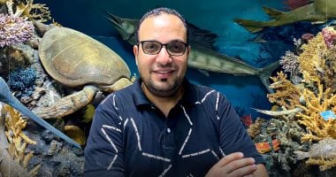 رحلتك إلى الغردقة بأقل تكلفة.. دليلك مع برنامج "كده رضا".. فيديو
