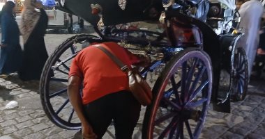 مدينة الأقصر ترفع 5 أطنان قمامة وتراكمات وتحرر 10 محاضر نظافة لعربات حنطور