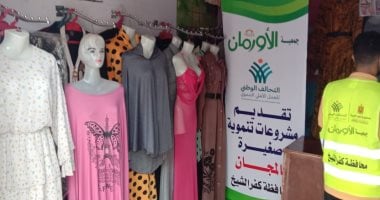 18 مشروع تمكين اقتصادي للأسر الأكثر احتياجًا بمحافظة كفر الشيخ