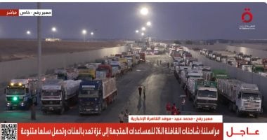 انطلاق قافلة المساعدات الإنسانية الـ26 من مصر إلى قطاع غزة.. فيديو قافلة المساعدات الإنسانية الـ26