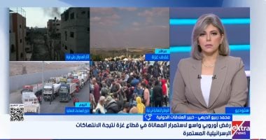 خبير: جهود مصر نجحت فى تحويل الموقف الأوروبى تدريجيا لصالح القضية الفلسطينية