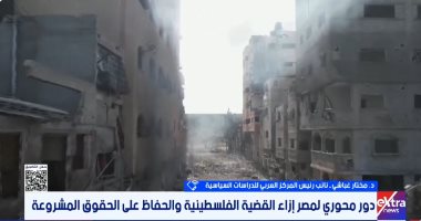 خبير: الدور المصرى محورى وأصيل تجاه القضية الفلسطينية ورفضنا مخططات التهجير