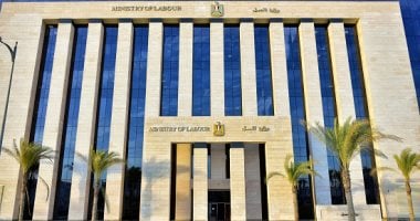 تشكيل المجلس الأعلى لتنمية مهارات الموارد البشرية فى قانون العمل
