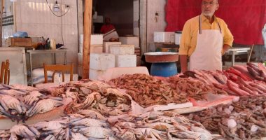 جمبرى ودنيس ومرجان.. انتعاش سوق الأسماك الطازجة فى الإسكندرية.. فيديو