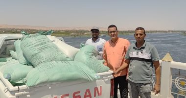 تموين الأقصر تضبط 18 جوال دقيق مدعم قبل تهريبها للسوق السوداء