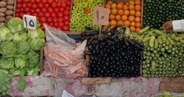 "تموين الأقصر" تعلن افتتاح 31 سوق يوم واحد خلال مرحلتى المبادرة.. صور