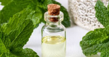 اخبار نيوز : 
                                            5 طرق طبيعية لطرد الحشرات من مطبخك بدون مبيدات.. شرائح البصل تخلصك من الصراصير
                                        