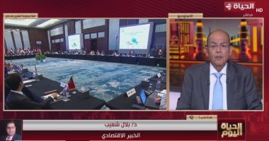 خبير اقتصادى لـ"الحياة اليوم": مصر صوت إفريقيا المسموع في مجموعة العشرين