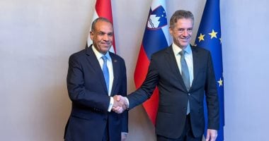 وزير الخارجية يبحث مع رئيس وزراء سلوفينيا مستجدات الأوضاع فى غزة جانب من اللقاء