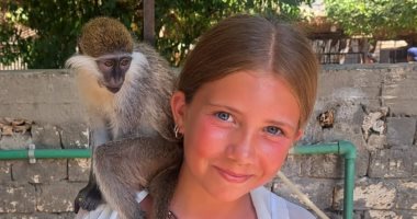 بهجة مع القرود والتماسيح فى الأقصر.. شاهد متعة الأطفال والسياح مع الحيوانات