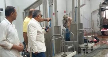 محافظ الدقهلية يتفقد مجزر المنصورة لمتابعة انتظام العمل ورفع كفاءة الخدمات