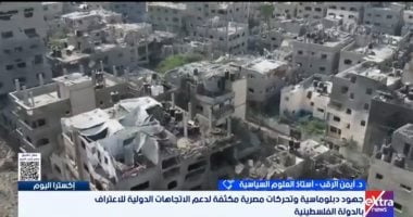 أستاذ بجامعة القدس: إسرائيل مصرة على اكتمال مشروعها بتهويد الأراضى الفلسطينية