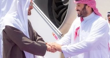 ولى العهد السعودى يستقبل الشيخ محمد بن زايد فى الرياض ولى العهد السعودى ومحمد بن زايد
