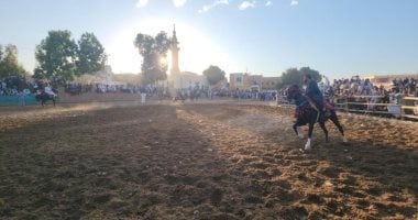 شاهد فرحة الأهالى بعروض الخيول فى ليلة الاحتفال بالمولد النبوى بالأقصر