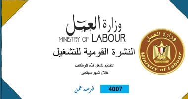 وزارة العمل تعلن 4007 فرص عمل جديدة للشباب فى 55 شركة خاصة