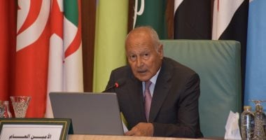 أبو الغيط: العنوان الأهم للمرحلة المقبلة هو الحفاظ على مشروع الدولة الفلسطينية الأمين العام للجامعة العربية أحمد أبو الغيط