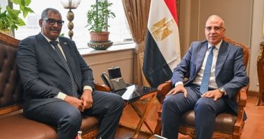 وزيرا الرى المصرى والسودانى: الحفاظ على مسار مبادرة حوض النيل وزيرا الرى المصرى والسودانى