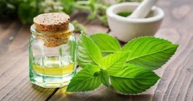 اخبار نيوز : 
                                            وصفات طبيعية من النعناع للعناية بالشعر.. تنظيف وتقوية ونمو
                                        