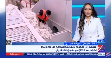 محمد الشوادفى: مصر بدأت تنفيذ رؤيتها الاقتصادية بعد تعاونها مع صندوق النقد