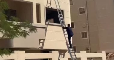 الأمن ينقذ قطة محتجزة 