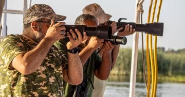 بعد غياب 122 سنة.. مصورو حياة برية يوثقون ظهور نادر لطائر الغاق الأفريقى بأسوان