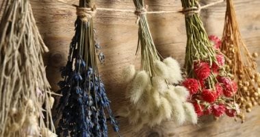 3 نباتات قد تؤثر سلبا على حظك وحياتك.. منها نبات "لسان الحماة"