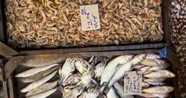 انخفاض سعر السمك بالإسكندرية مع موسم الاحتفال بالمولد النبوى.. البلطى بـ 60 جنيها.. والكابوريا بـ 50 جنيها.. والجمبرى يبدأ سعره بـ 200 جنيه.. والمواطنون: أفضل وقت للشراء والتخزين الشهرى.. صور انخفاض سعر السمك بالإسكندرية