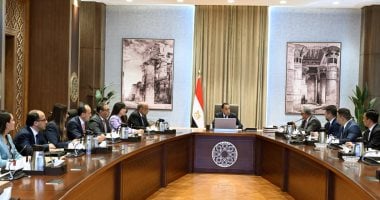 رئيس الوزراء يلتقى مسئولى شركة صينية متخصصة فى إنتاج مكونات الطاقة المتجددة