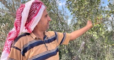 من الصحراء إلى الحياة.. "تفاحة" بئر العبد تروي ملحمة الزراعة في سيناء.. تحولت من أرض قاسية التضاريس إلى سلة غذاء خصبة.. تحتضن مزارع الزيتون والخضروات والفواكه.. تفتح أبواب الاستثمار وتوفر فرص عمل للشباب