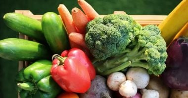 اخبار نيوز : 
                                            5 خضراوات غنية بمضادات الأكسدة تجعل بشرتك نضرة بدون مكياج
                                        