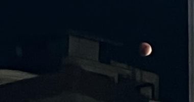 القمر الدموى يظهر فى سماء المنصورة.. فيديو القمر الدموي