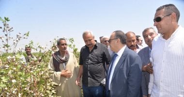 محافظ أسيوط يفتتح موسم جني القطن.. ويؤكد: عودة "الذهب الأبيض" لمكانته