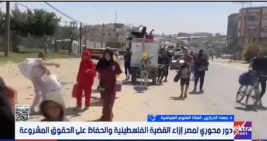أستاذ بجامعة القدس: الرؤية المصرية ضد التهجير أصبحت موقفا عالميا