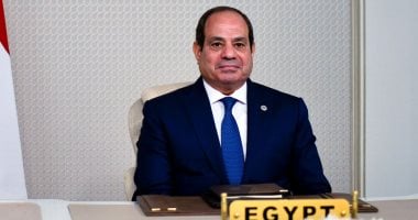 الرئيس السيسى: الحرب الإسرائيلية الغاشمة على الشعب الفلسطينى دلالة على الازدواجية.. فيديو الرئيس عبد الفتاح السيسي