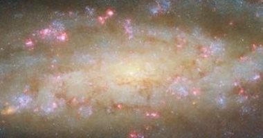 اخبار نيوز : 
                                            ناسا تلتقط صورة مذهلة للمجرة NGC 7456 على بُعد 51 مليون سنة ضوئية
                                        