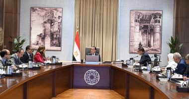رئيس الوزراء يستعرض الإجراءات المقترحة للتعامل مع انهيار عدد من العقارات رئيس الوزراء