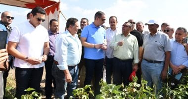 محافظ الفيوم يفتتح موسم جنى القطن بقرية رحمى تزامنا مع عيد الفلاح.. صور