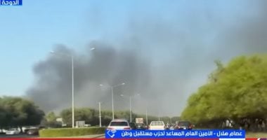 مستقبل وطن: مصر تتحرك كقوة مدافعة عن الأمن العربى