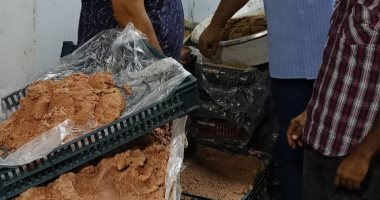ضبط 3 أطنان برجر وسجق وعجينة كفتة فاسدة فى الهرم.. صور