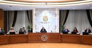 مد فترة توفيق أوضاع إقامة الأجانب المقيمين بالبلاد بصورة غير شرعية لمدة عام