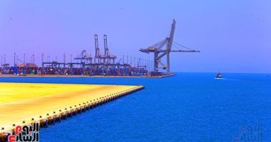 تعرف على أول عملية ترانزيت مباشر لتداول السيارات والمعدات بميناء السخنة