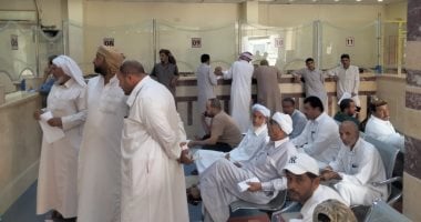 مدينة مرسى مطروح تبدأ تسليم تصاريح موسم صيد الطيور المهاجرة لعام 2025