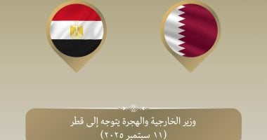 وزير الخارجية يتوجه إلى الدوحة للإعراب عن تضامن مصر مع قطر