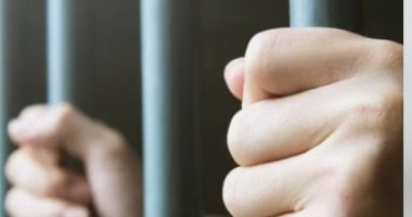 تفاصيل حكم الحبس عامين للمتهمة بالتشهير بفنانة على السوشيال ميديا.. فيديو