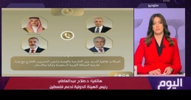 هيئة دعم فلسطين لـ"اليوم": قرارات الأمم المتحدة بحل الدولتين ملزمة فى هذه الحالة
